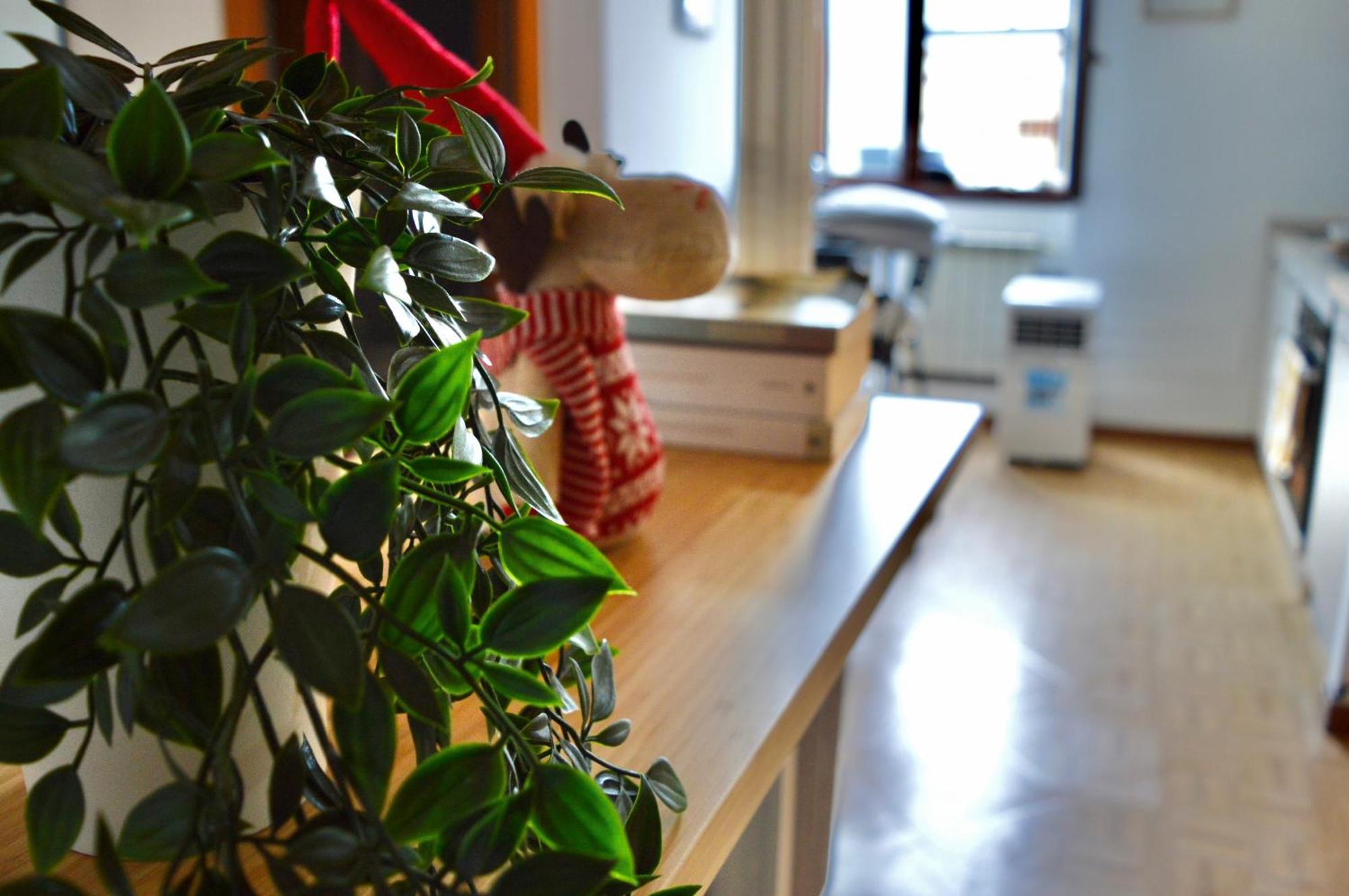 Cozy Fiore Mono - Rho Fiera, San Siro, Citylife ミラノ エクステリア 写真